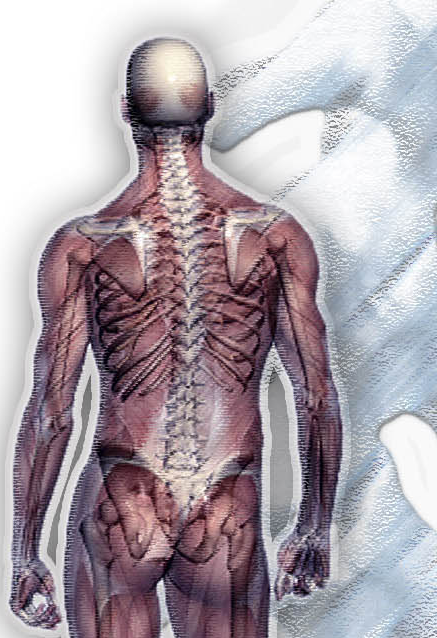 ergonomie-04-02-jpg.png