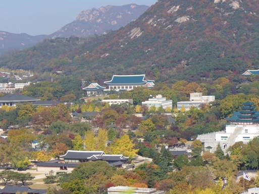 P1000011.JPG