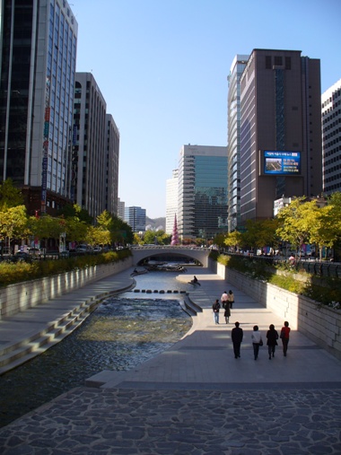 P1000022.JPG