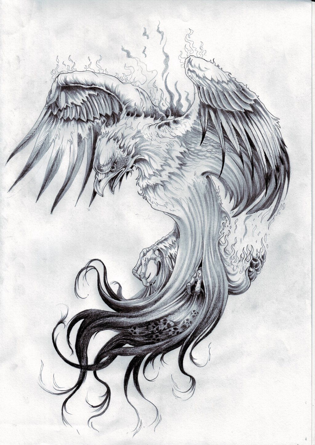 phoenix_by_zioman.jpg