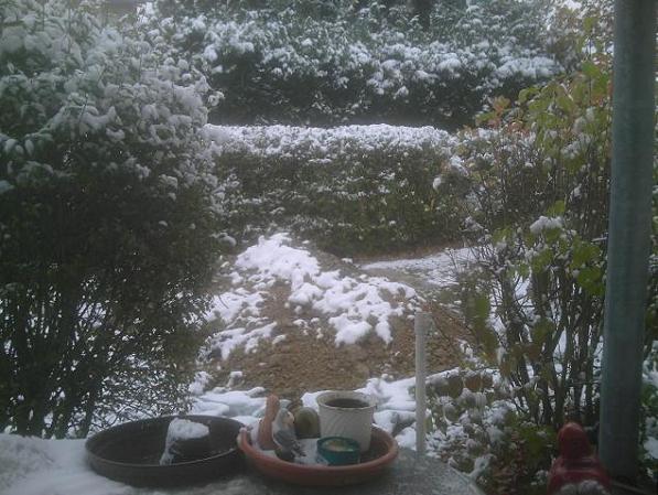 Tauwetter.1.JPG