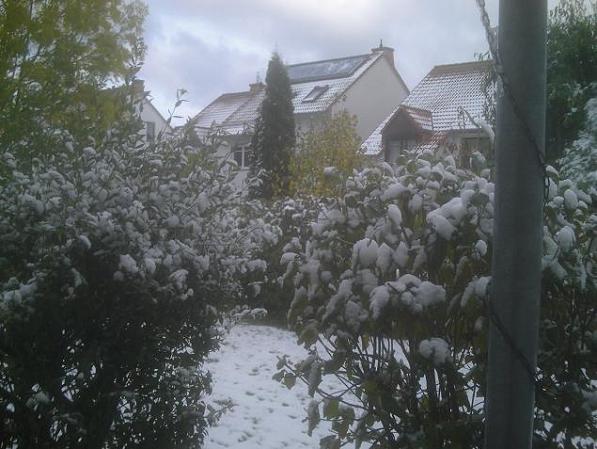 Tauwetter.3.JPG