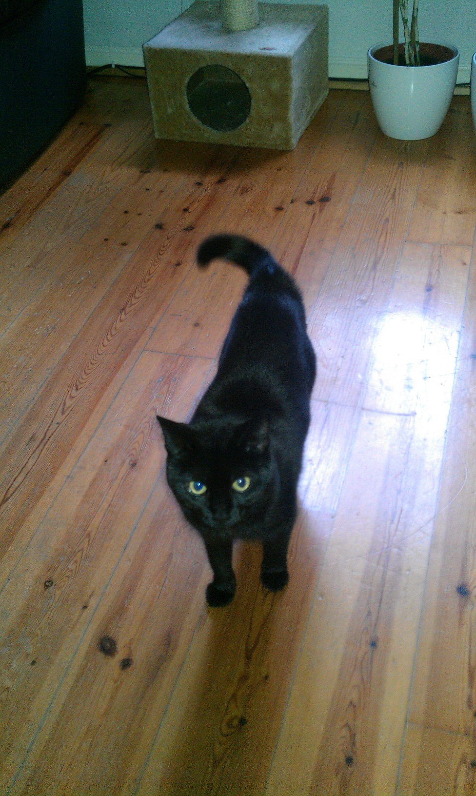 IMAG0192.jpg