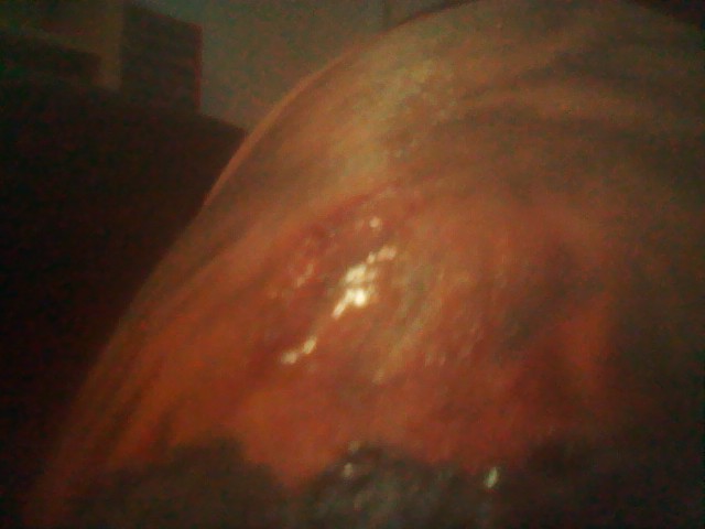 IMAG0260.jpg
