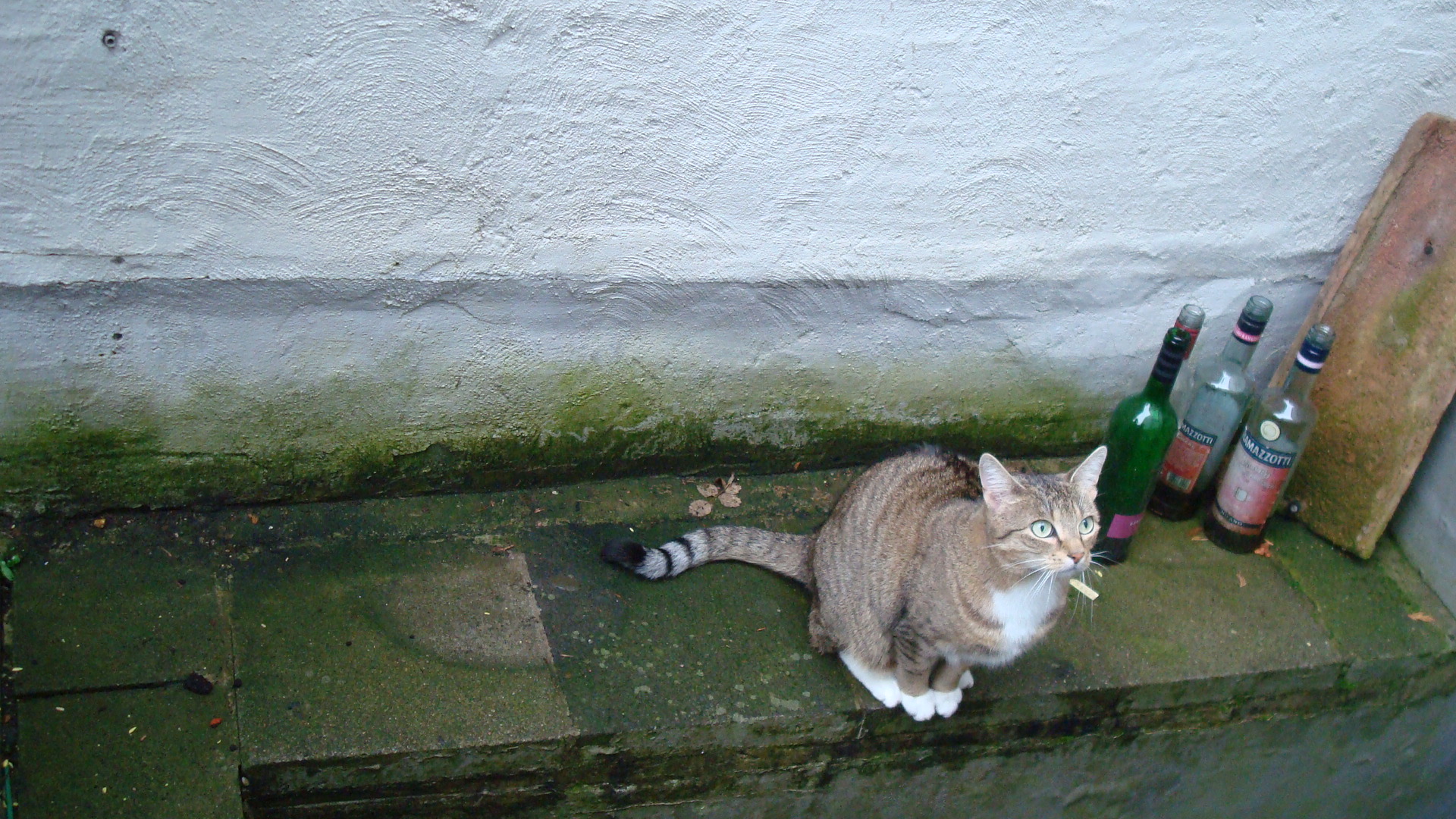 DSC09493.JPG
