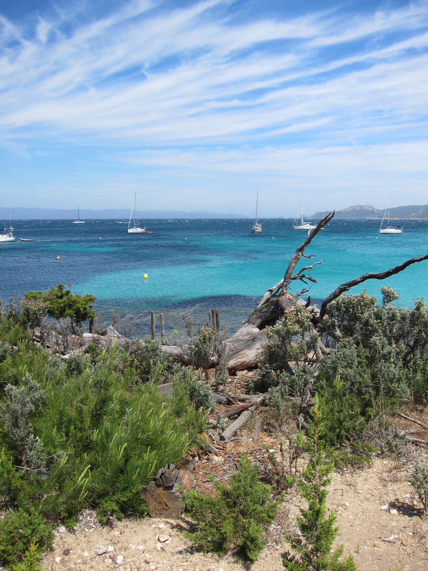 Porquerolles.jpg