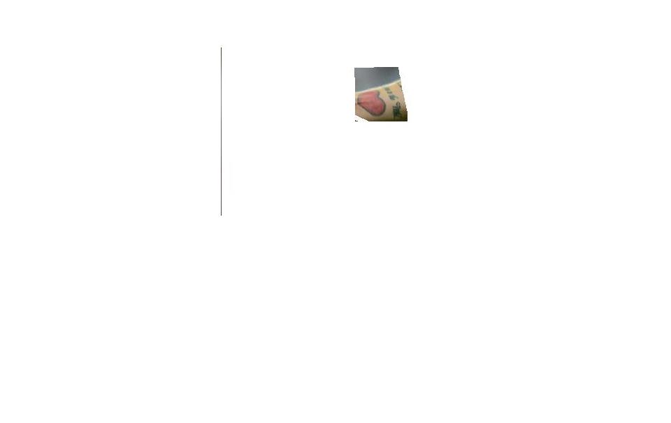 fdh.JPG