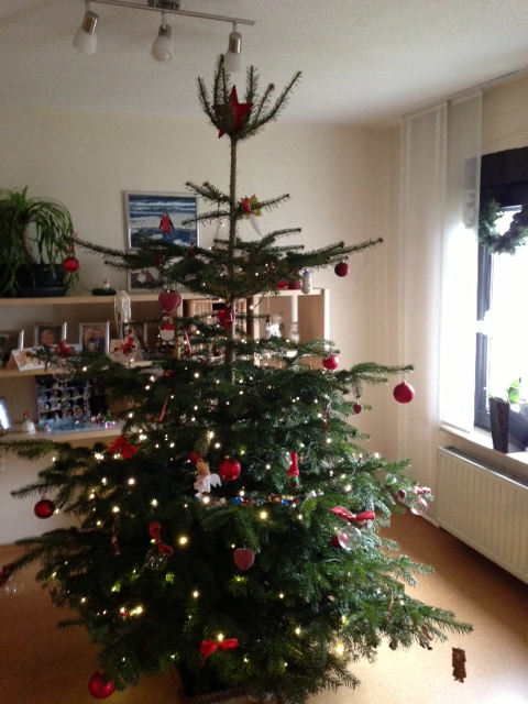 FotoBaum2012.JPG