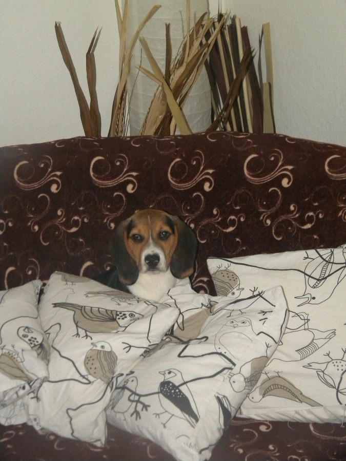 DSCN8331.jpg