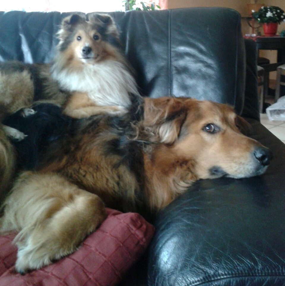2012-12-30 22.07.20.jpg