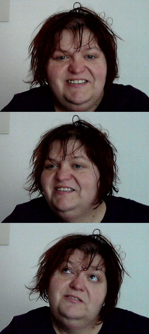 Ungekämmte, ungeschminkte Wahrheit 2013.JPG