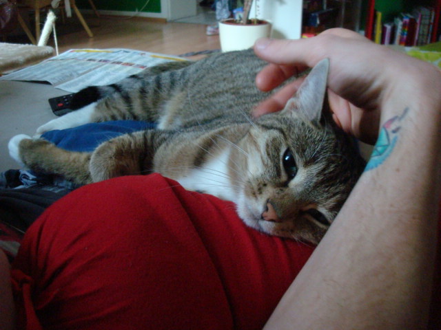 emmi (12).JPG
