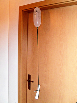 weiße eule.jpg