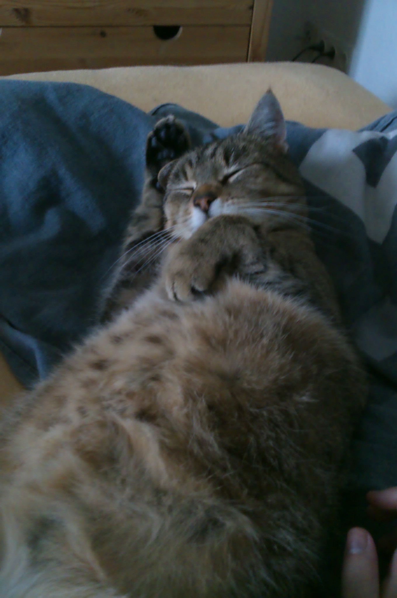 IMAG0325.jpg