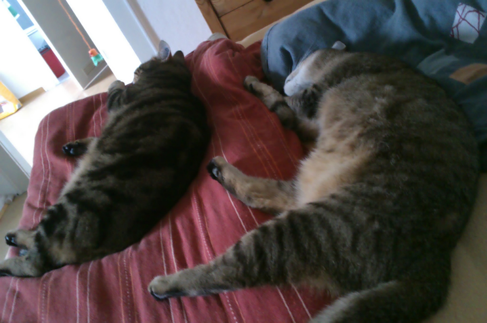 IMAG0327.jpg