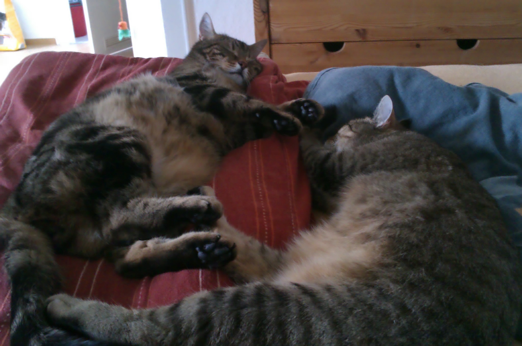 IMAG0328.jpg