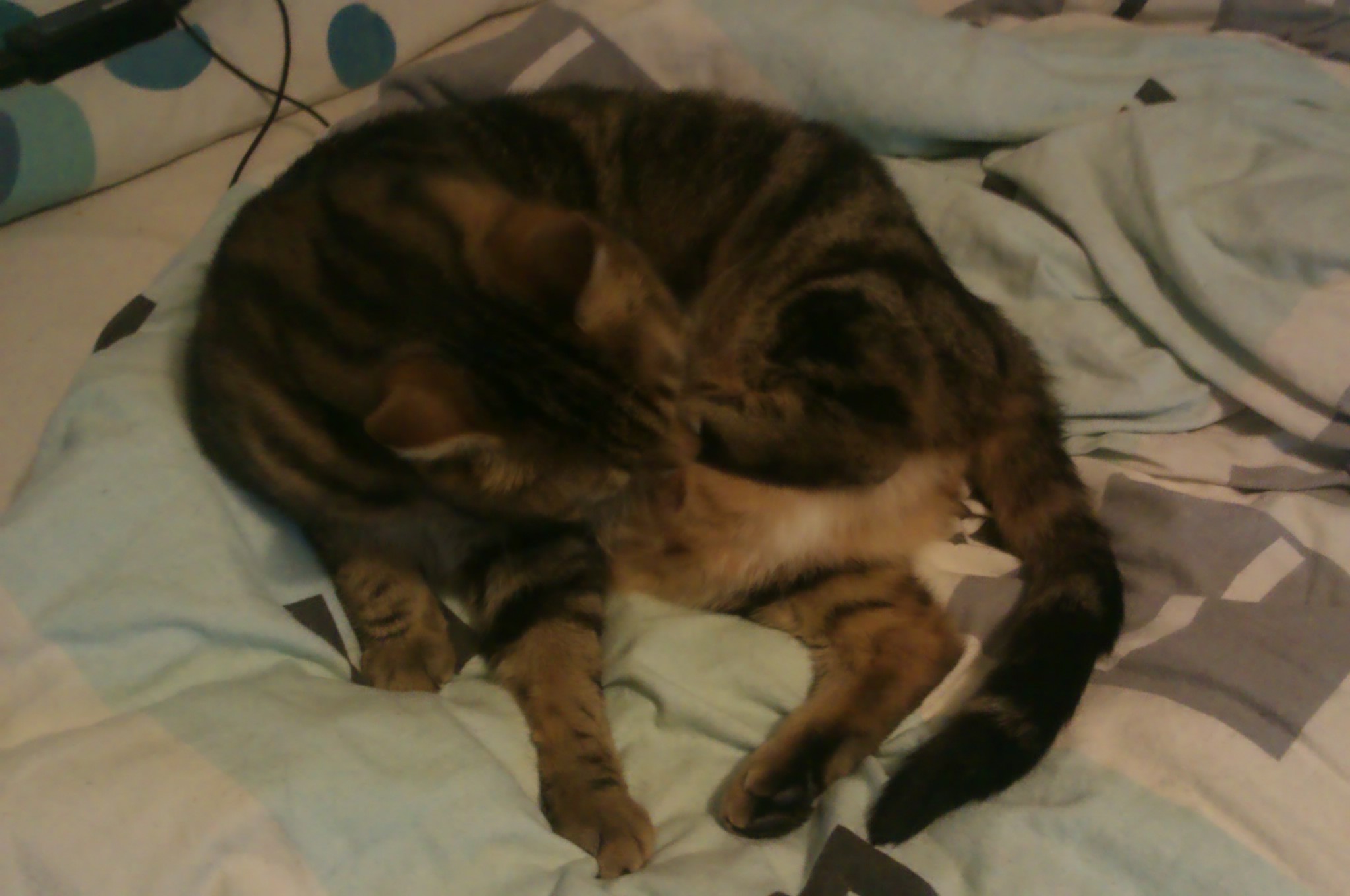 IMAG0335.jpg