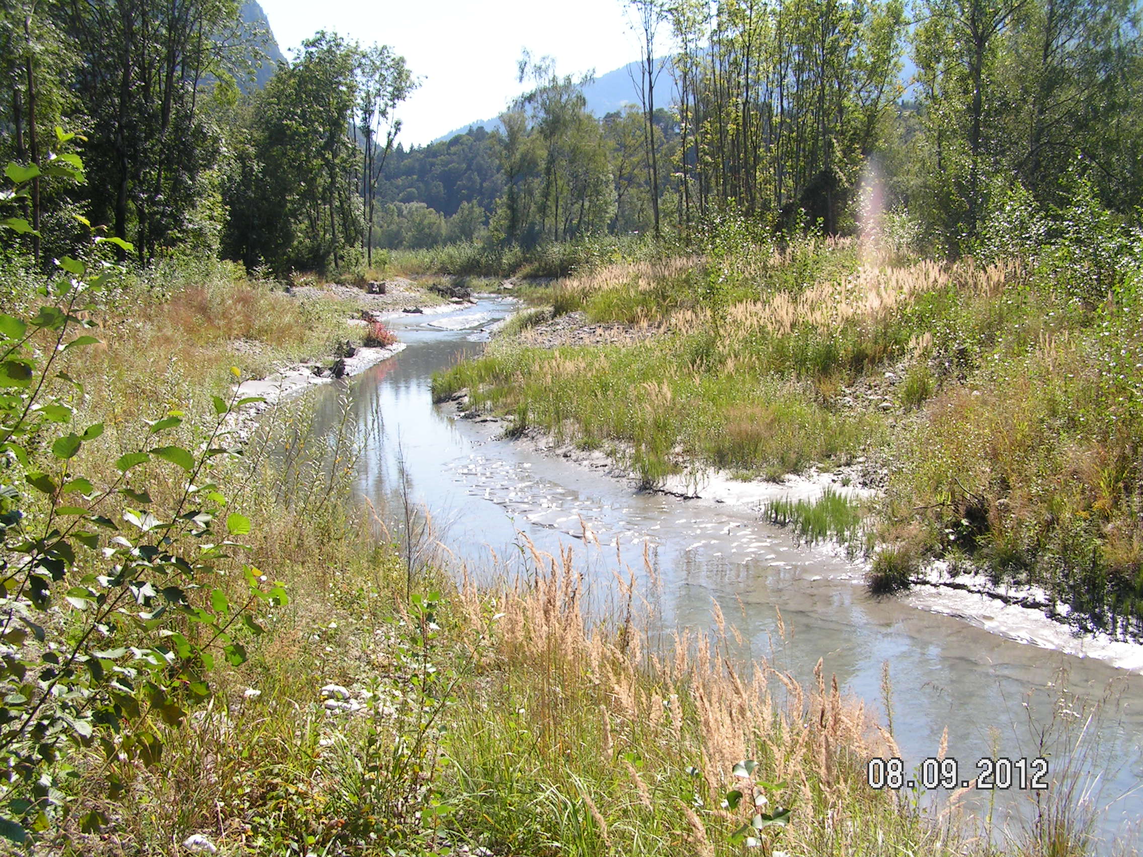 PICT0030.JPG