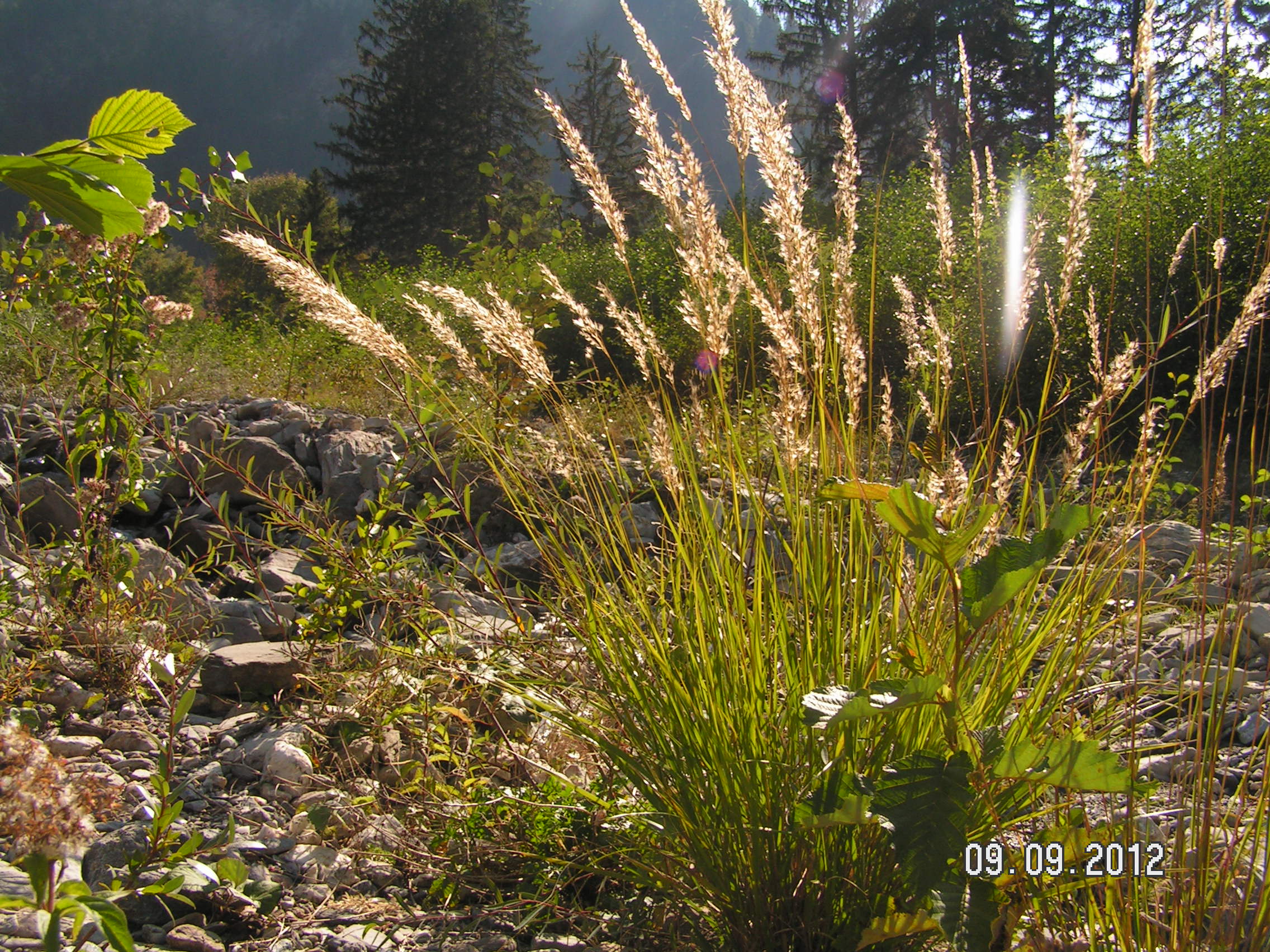 PICT0076.JPG