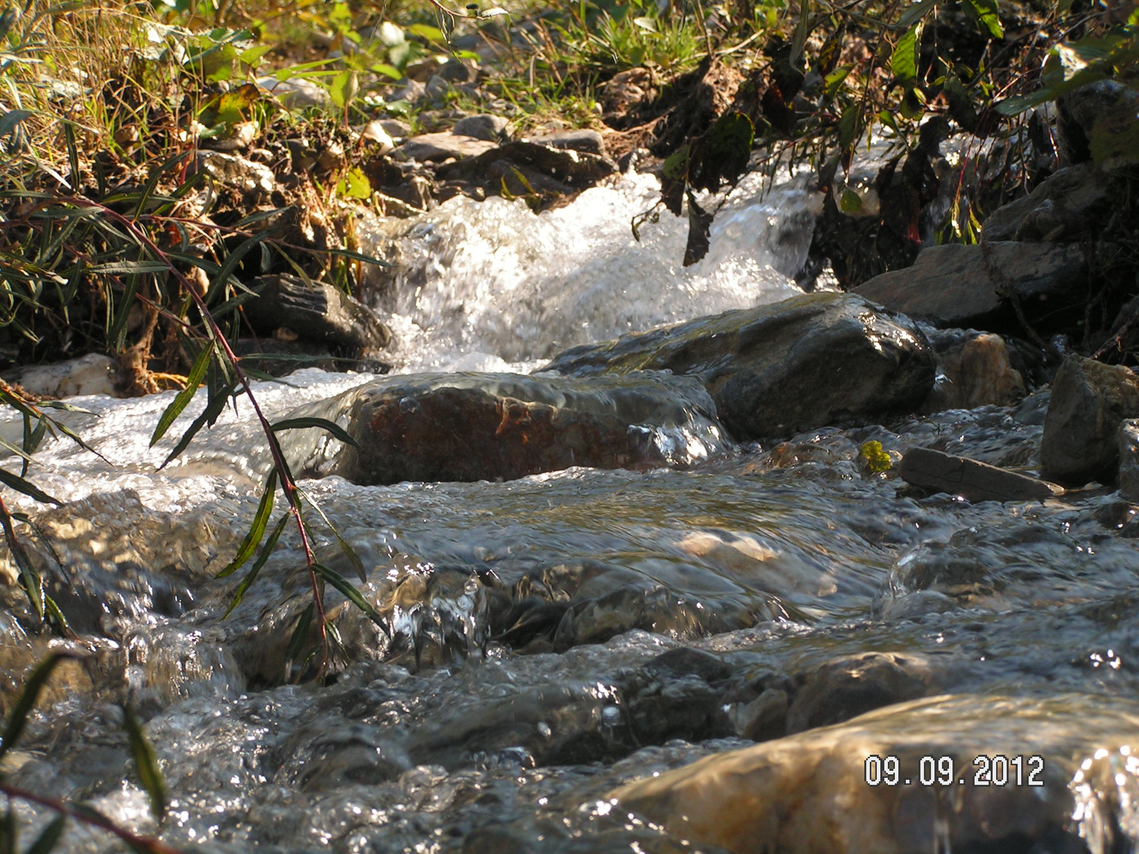 PICT0080.JPG