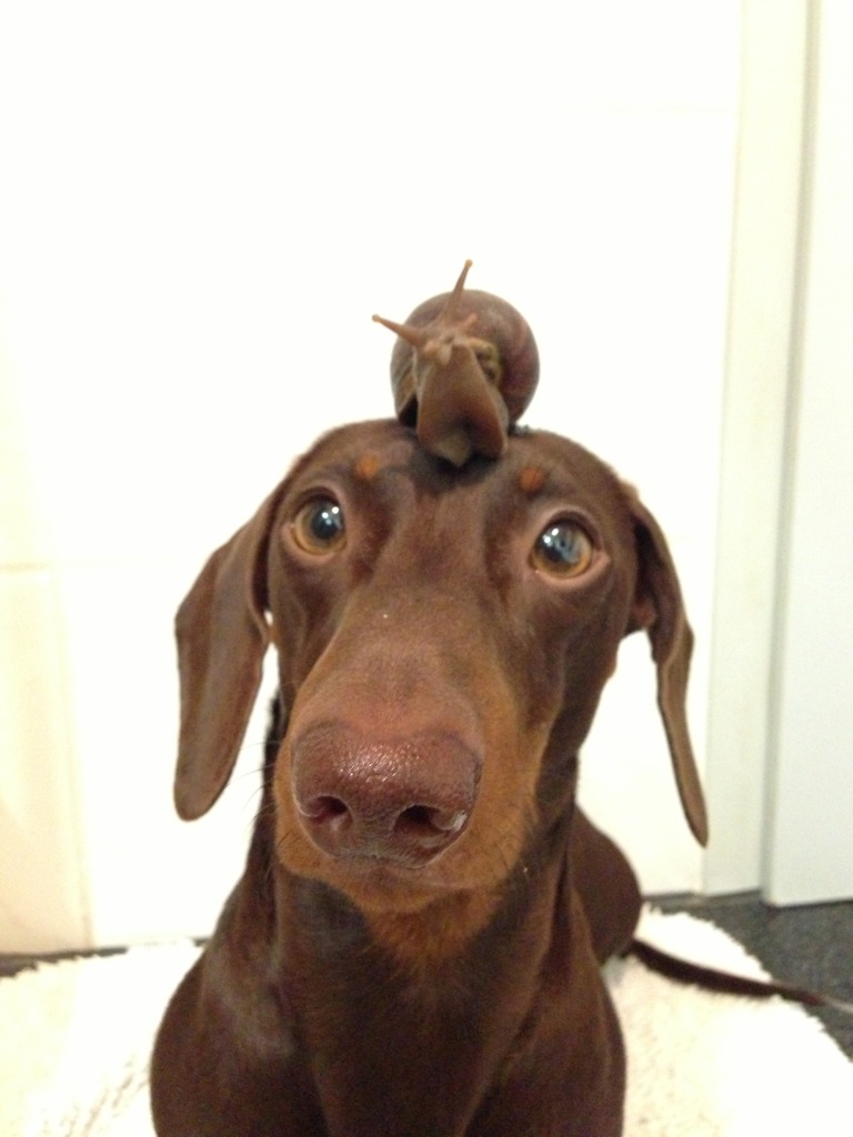 ImageUploadedByTapatalk1359926341.859453.jpg