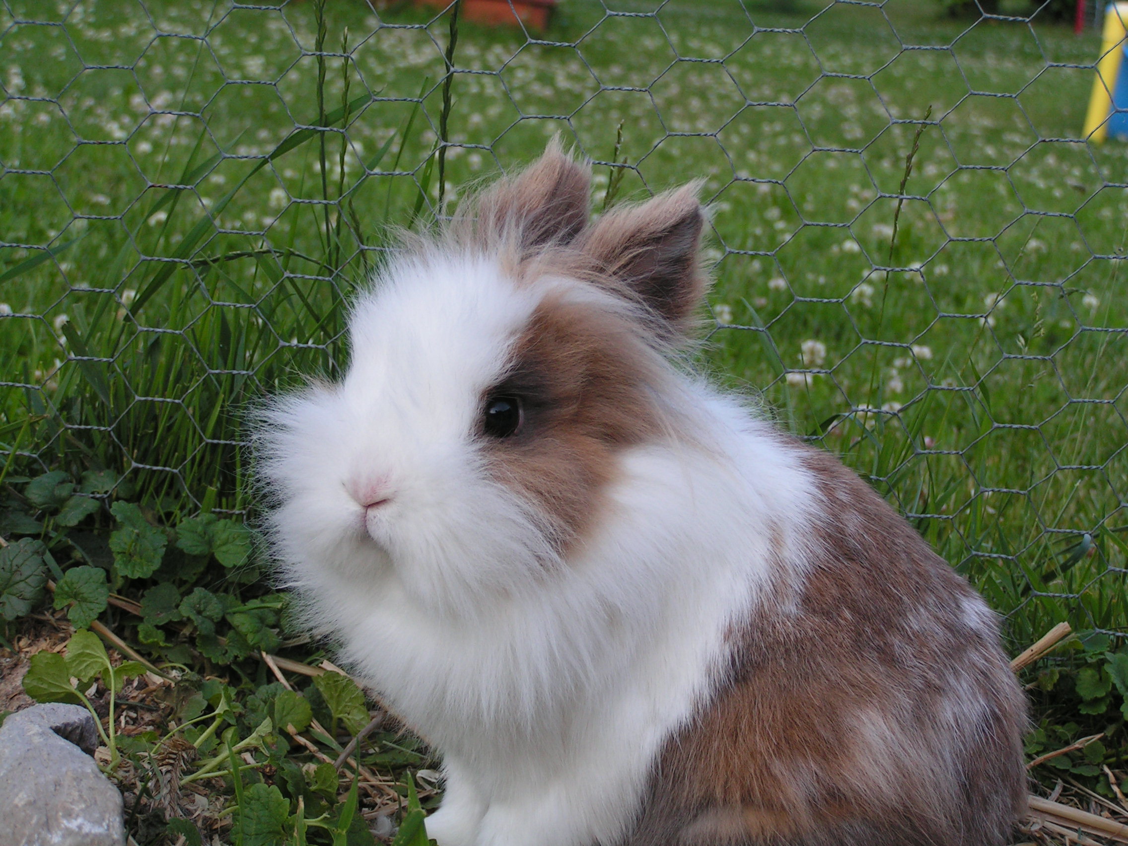 PICT0004.JPG