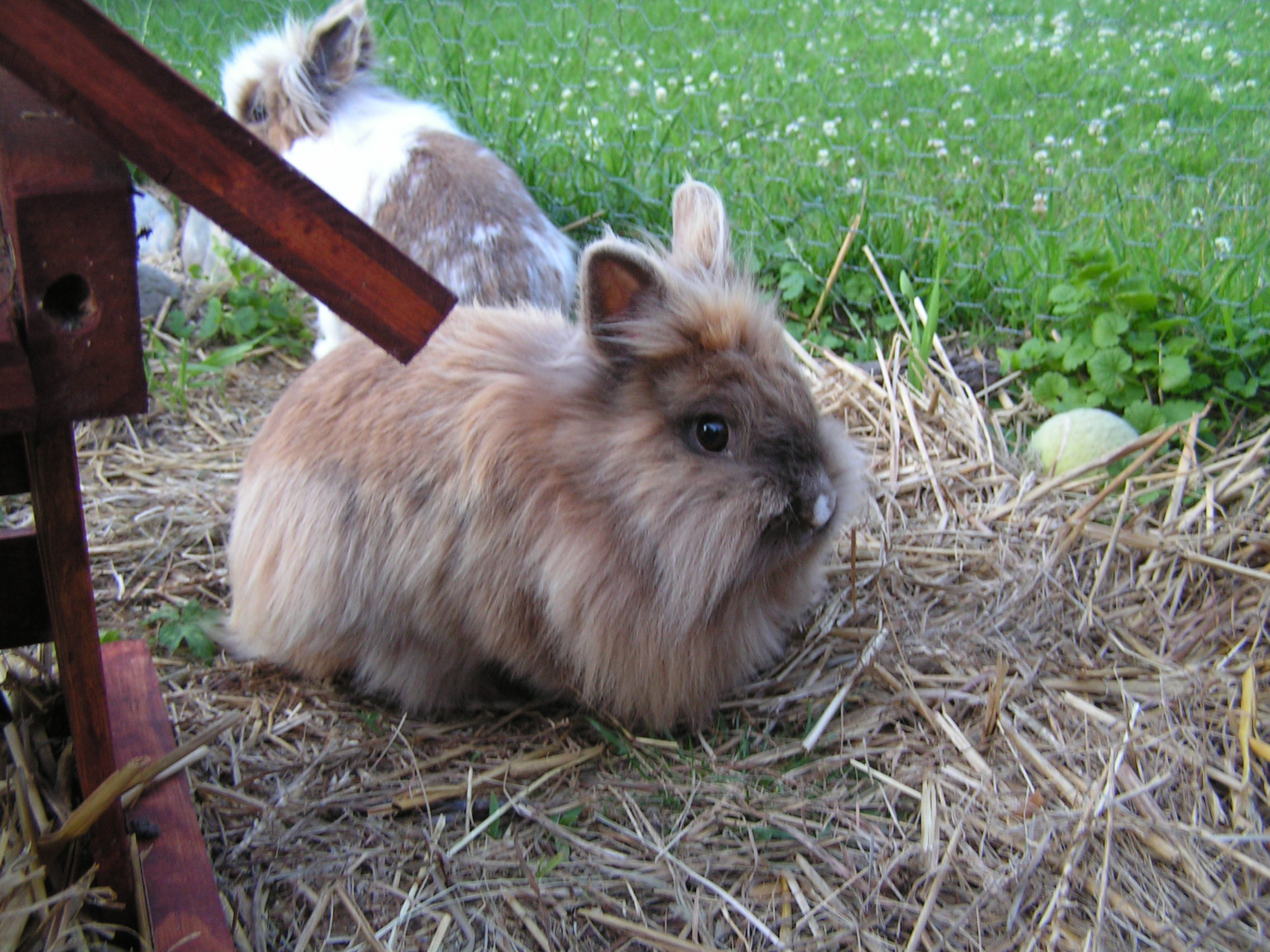 PICT0008.JPG