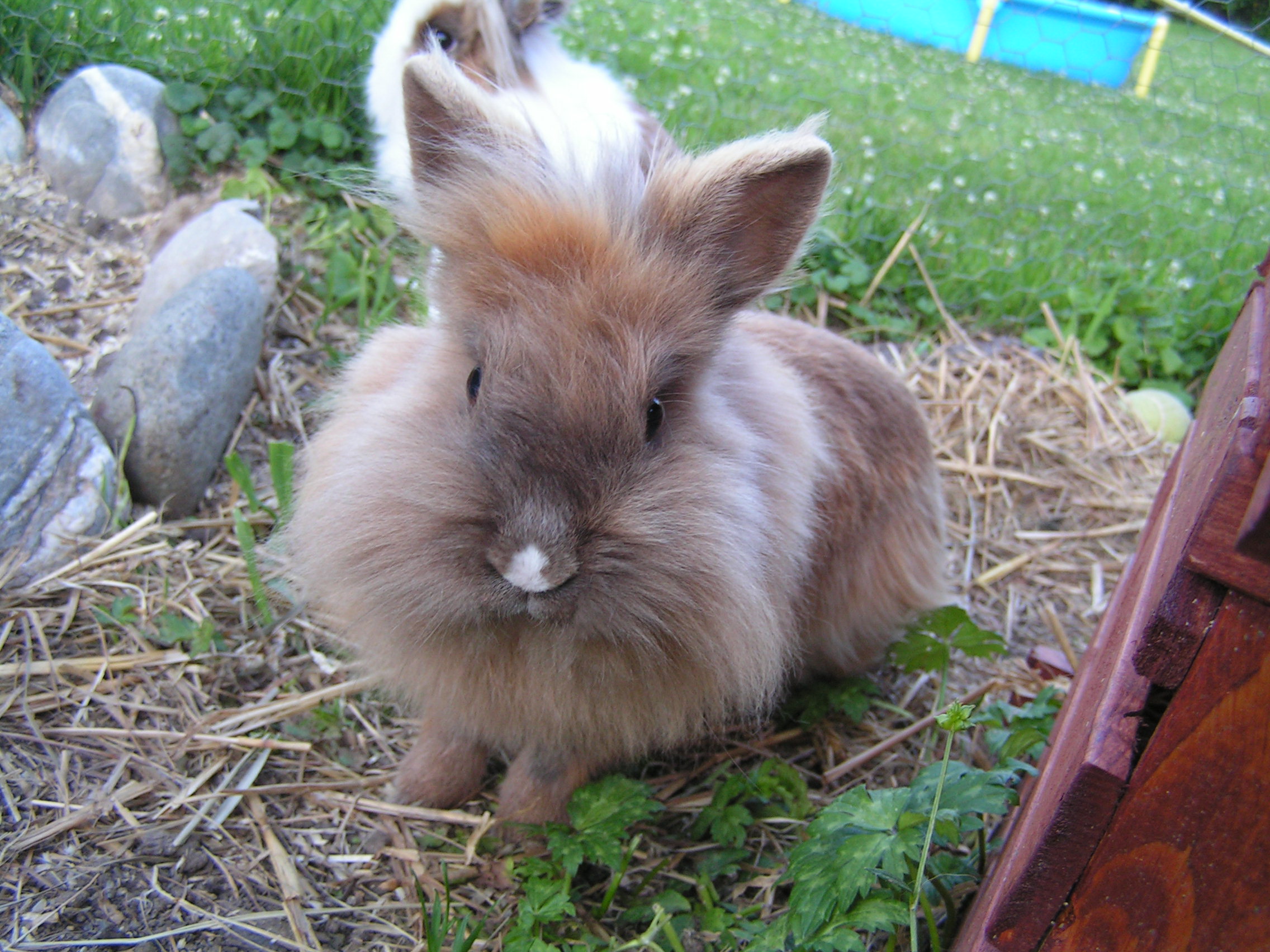 PICT0006.JPG