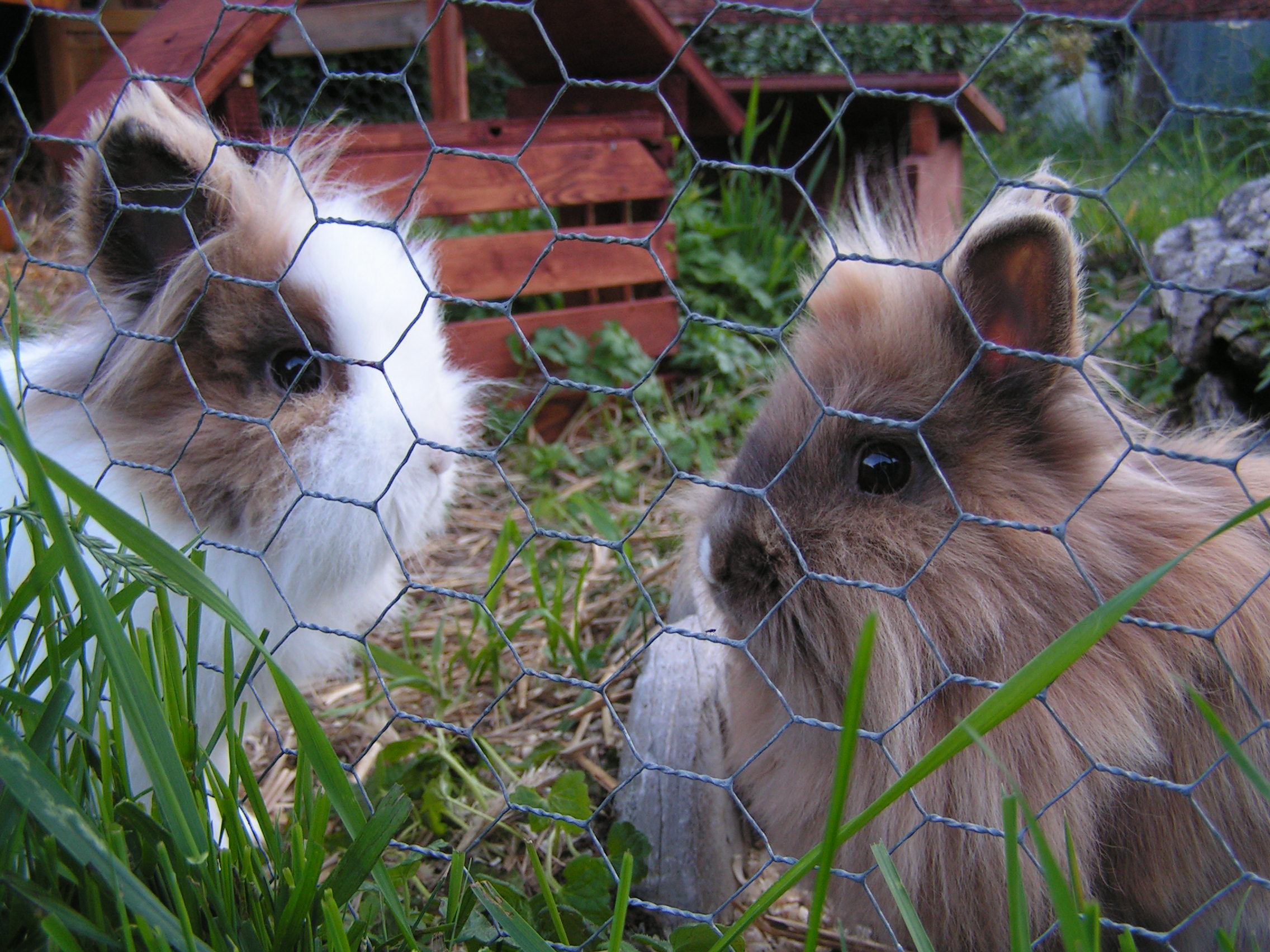 PICT0012.JPG