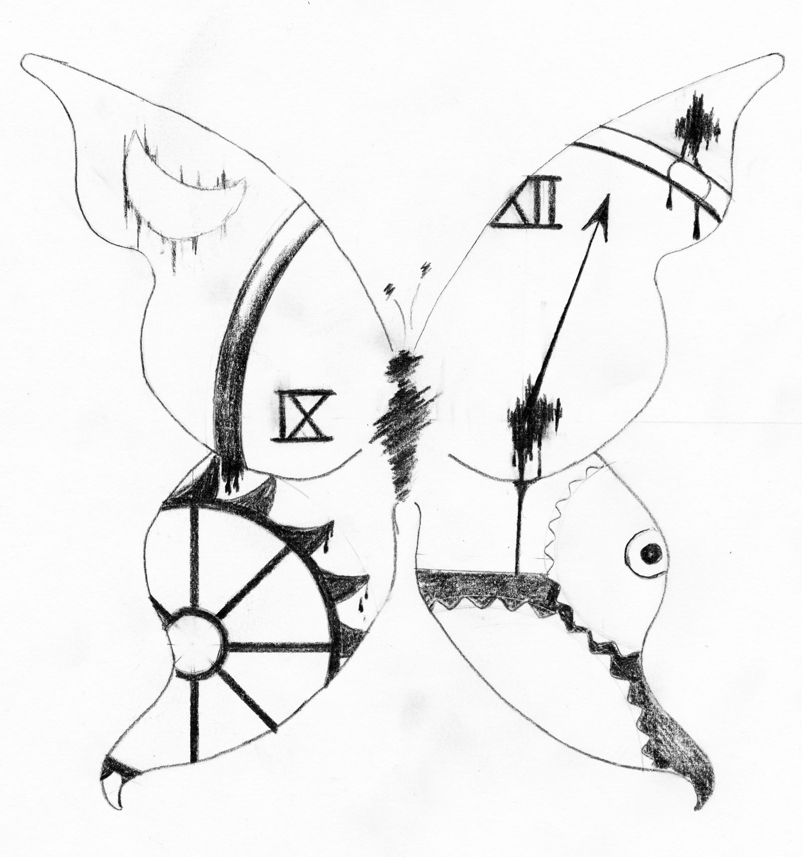 schmetterling3.jpg