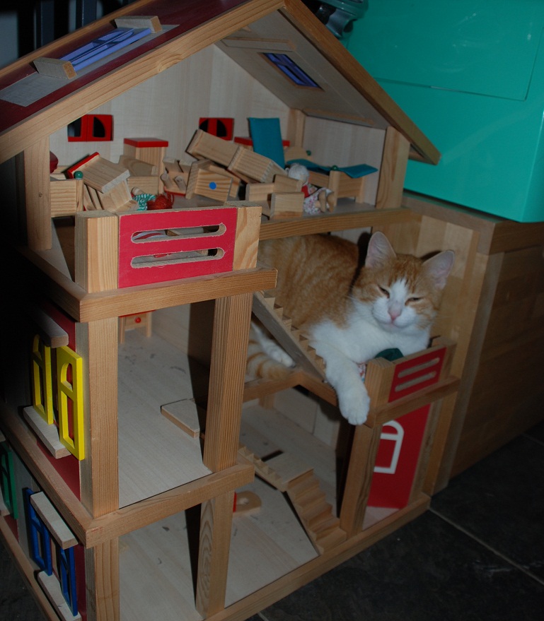Kater2.jpg