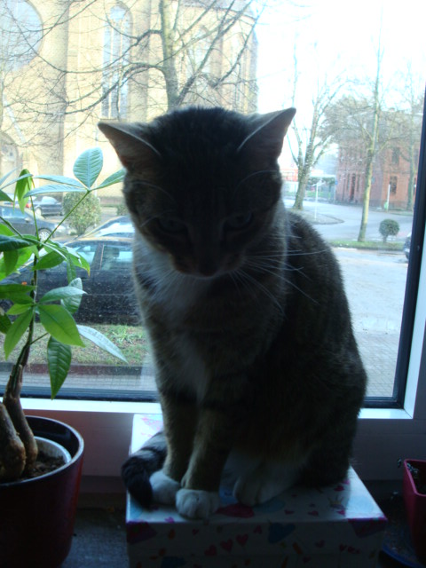 emmi (118).JPG