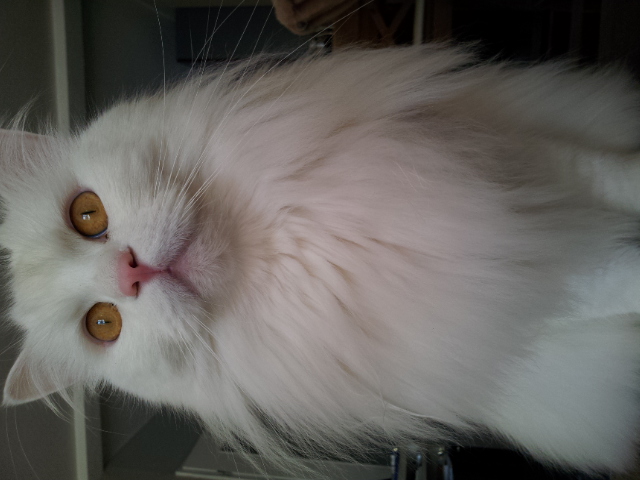 20130210_105914.jpg