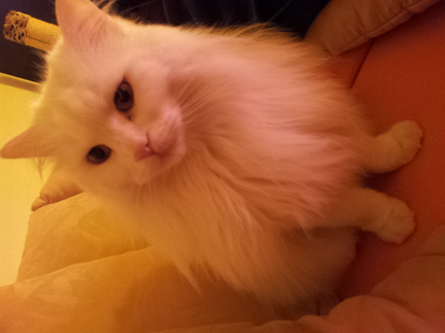20130109_200834.jpg