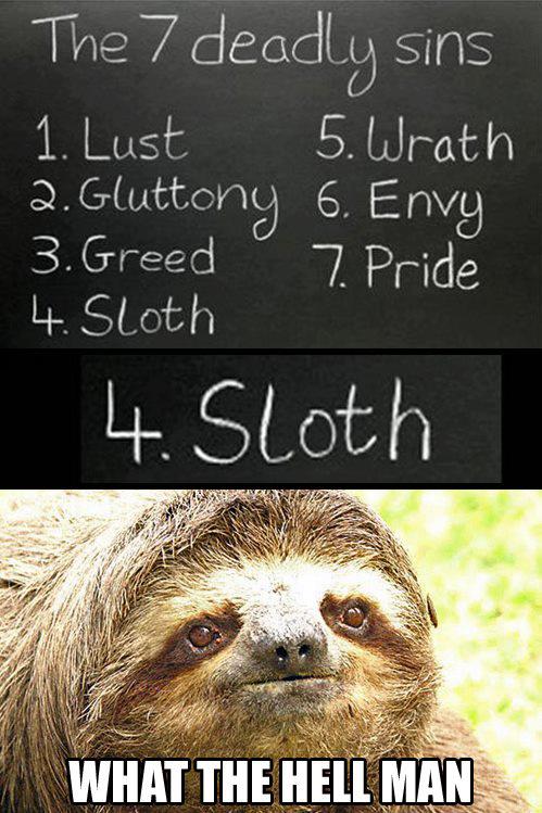 sloth.jpg