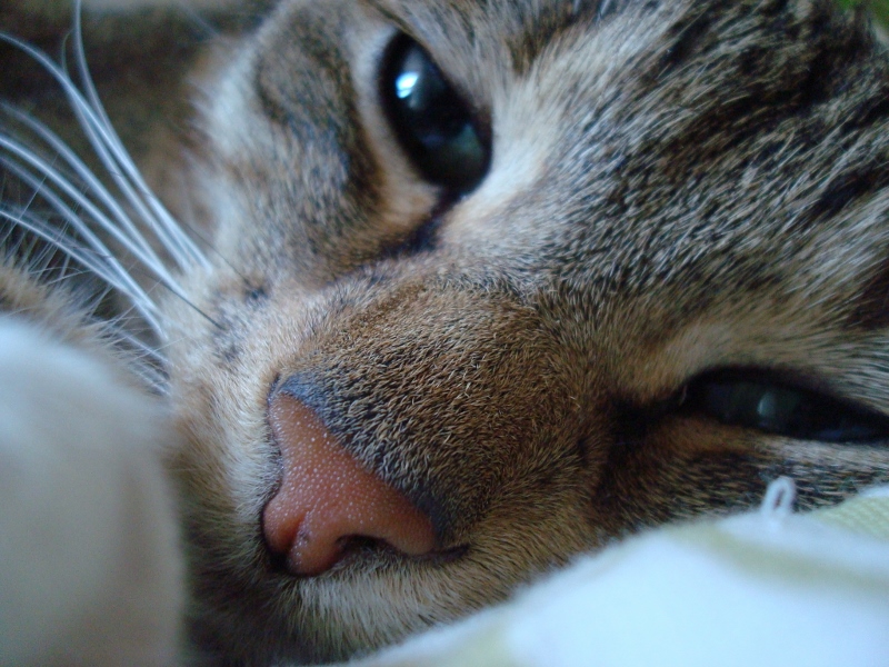 emmi (129) (800x600).jpg