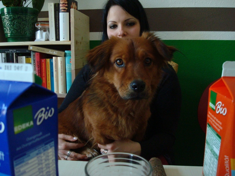 ostern2013 (40) (800x600).jpg