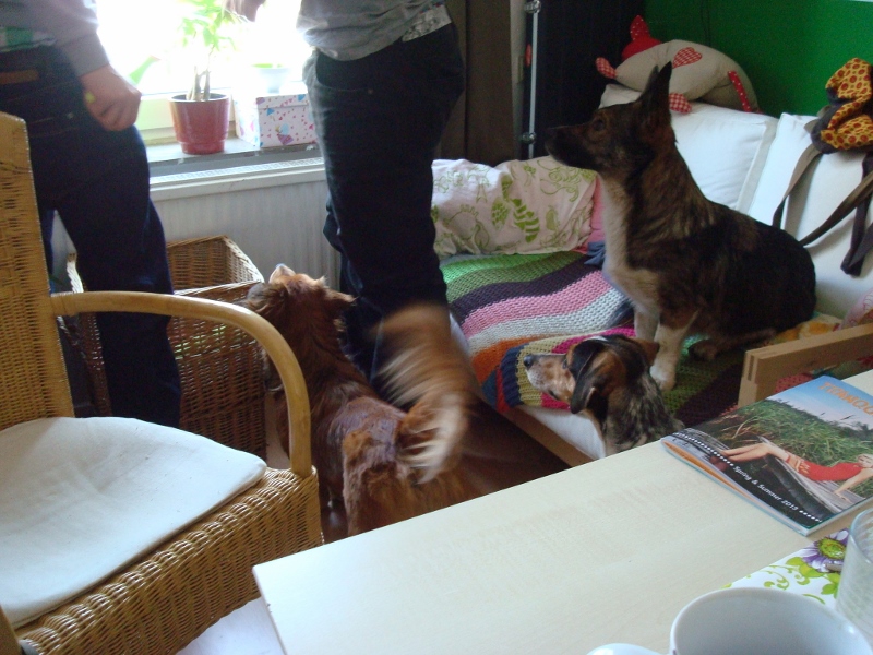 ostern2013 (6) (800x600).jpg
