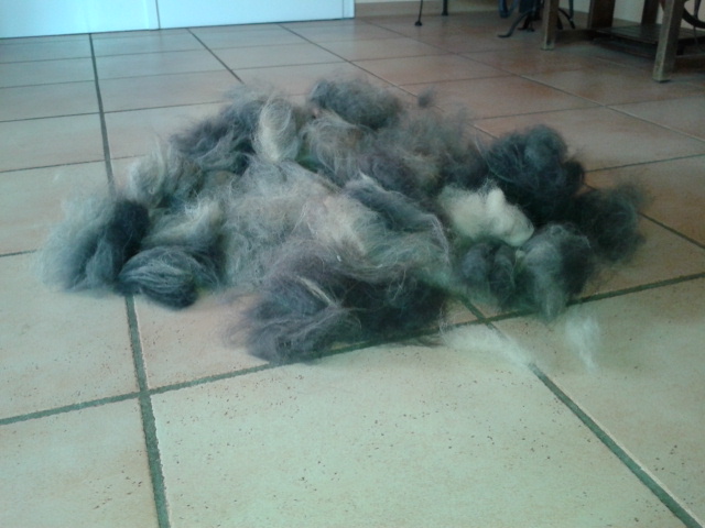 20130414_174705.jpg