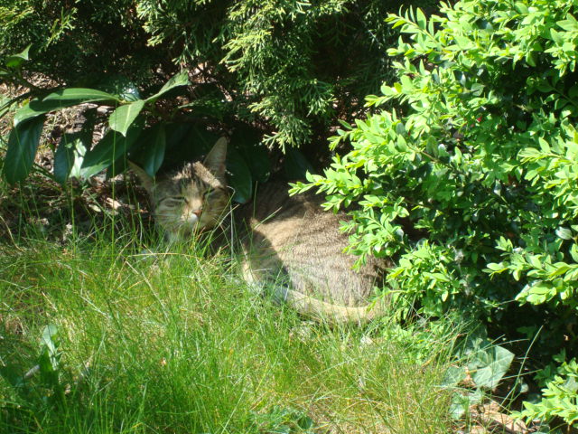 DSC00802.JPG