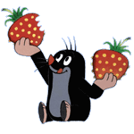 5.gif