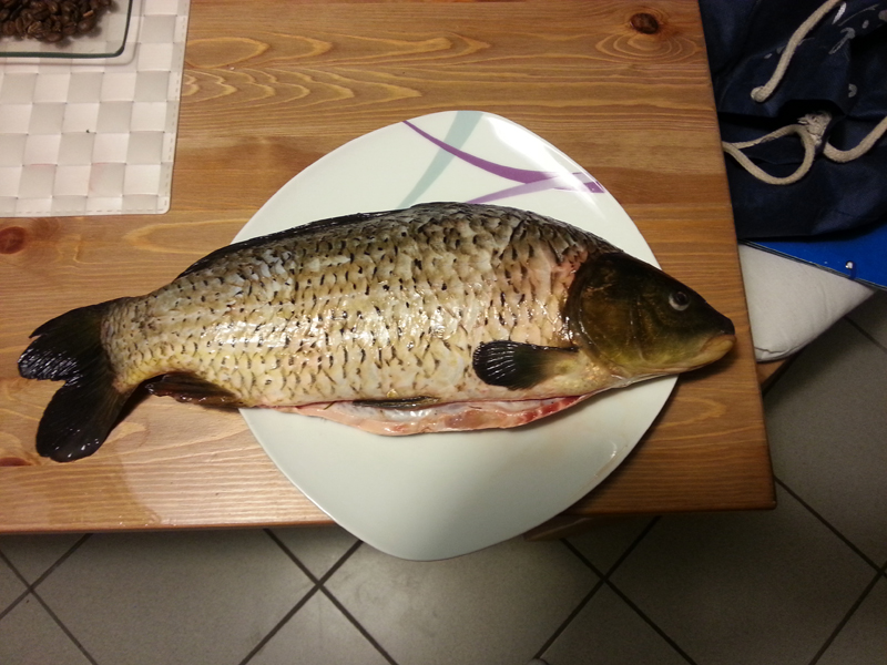 20130606_003354.jpg