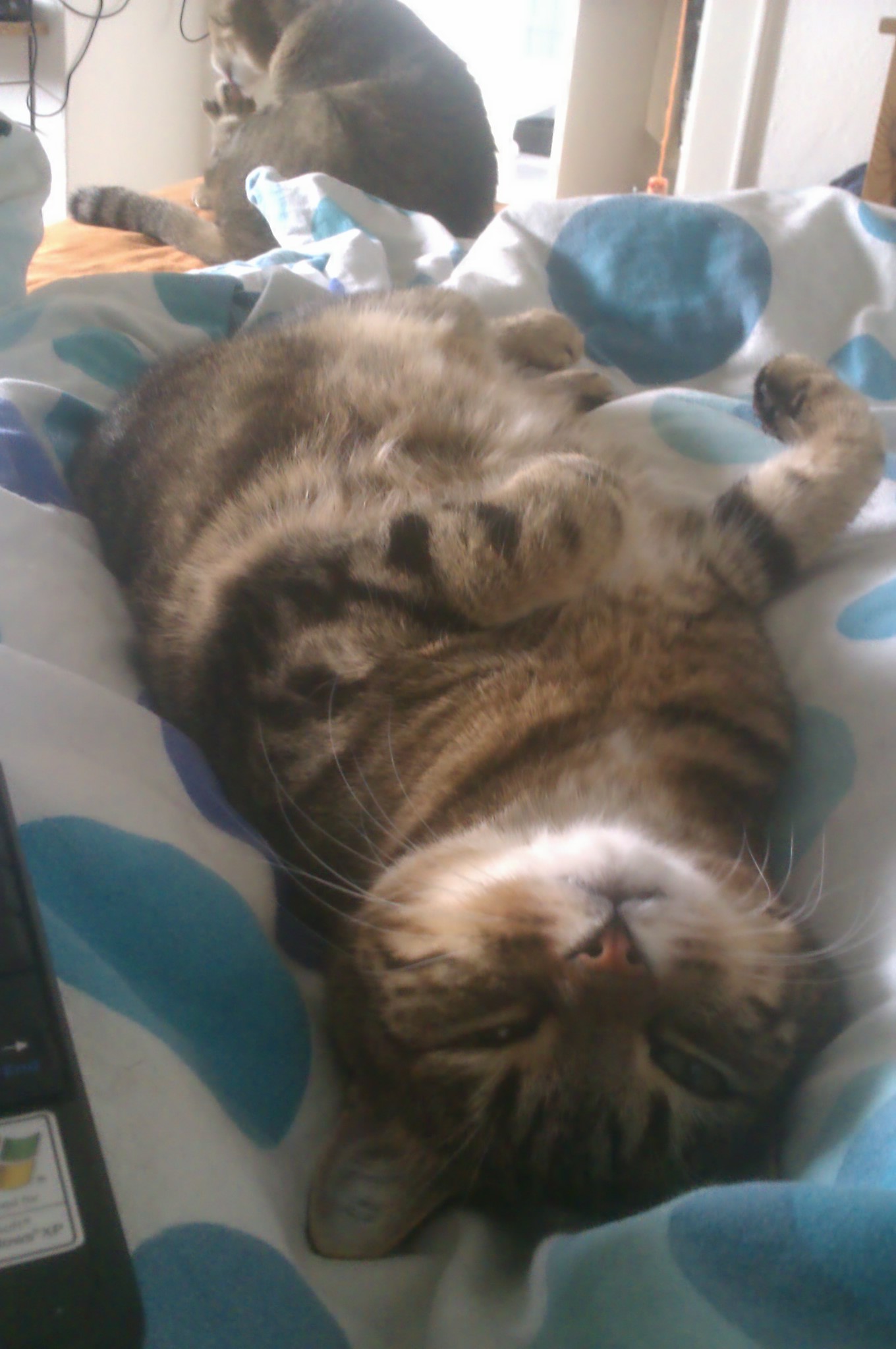 IMAG0464.jpg