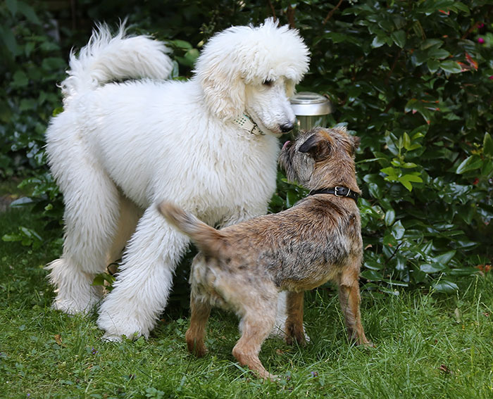 co_besuch_07.07.2013.jpg