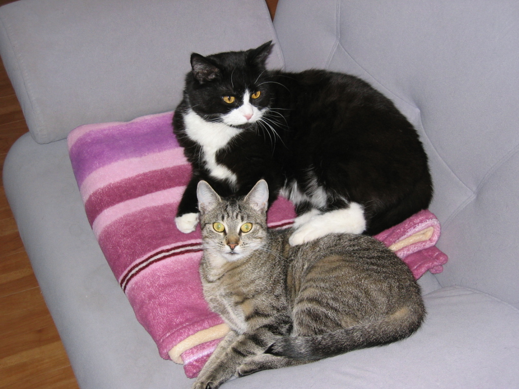 Fotos ZOO 011.jpg