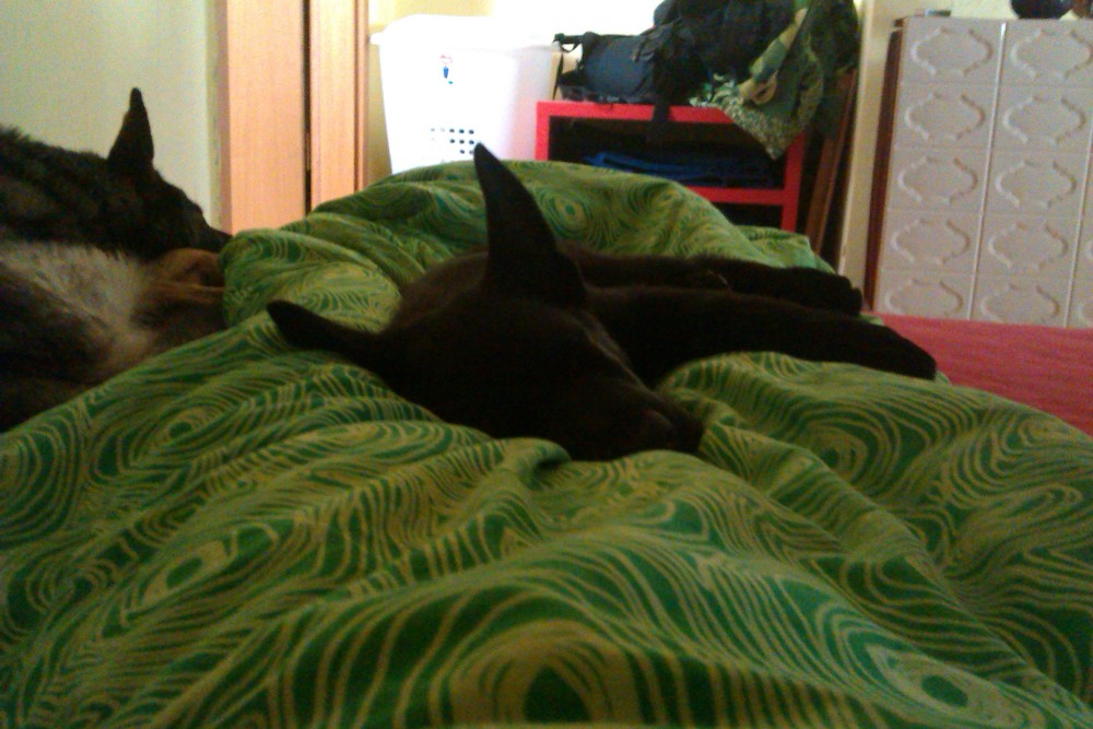 IMAG0114klein.jpg
