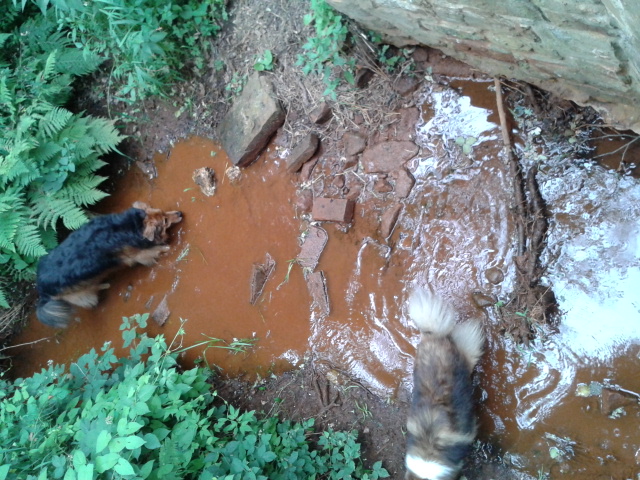 20130726_125035.jpg