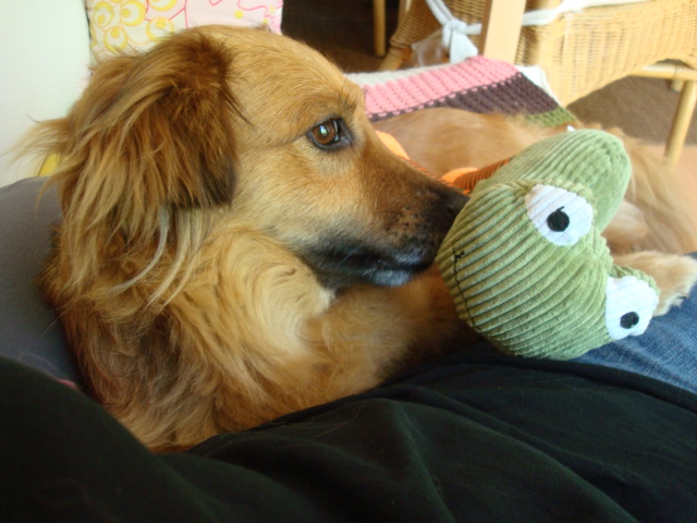 DSC01005.JPG