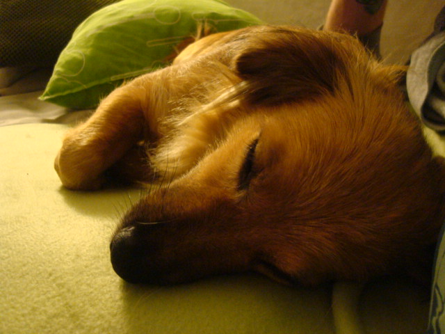heidi (21).JPG