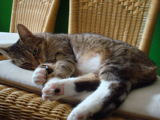 emmi (152).JPG